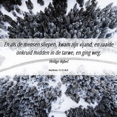 Picture 06 - Mattheüs 13:25 NLD - En als de mensen sliepen, kwam zijn vijand, en - Bible Verse Picture