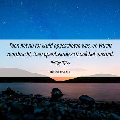 Picture 06 - Mattheüs 13:26 NLD - Toen het nu tot kruid opgeschoten was, en vrucht - Bible Verse Picture
