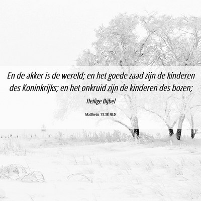 Picture 06 - Mattheüs 13:38 NLD - En de akker is de wereld; en het goede zaad zijn - Bible Verse Picture