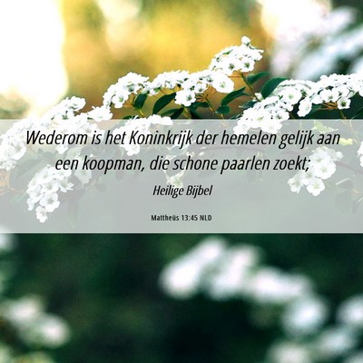 Picture 06 - Mattheüs 13:45 NLD - Wederom is het Koninkrijk der hemelen gelijk aan - Bible Verse Picture