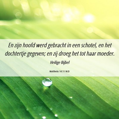 Picture 06 - Mattheüs 14:11 NLD - En zijn hoofd werd gebracht in een schotel, en - Bible Verse Picture