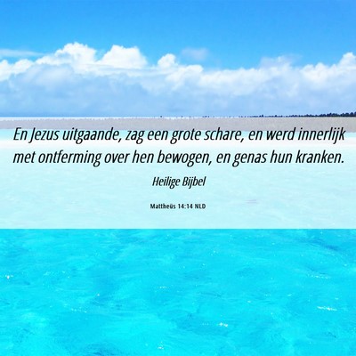 Picture 06 - Mattheüs 14:14 NLD - En Jezus uitgaande, zag een grote schare, en werd - Bible Verse Picture