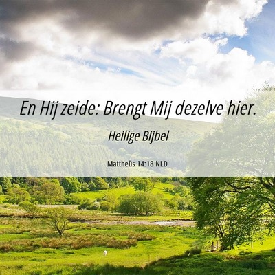 Picture 06 - Mattheüs 14:18 NLD - En Hij zeide: Brengt Mij dezelve - Bible Verse Picture