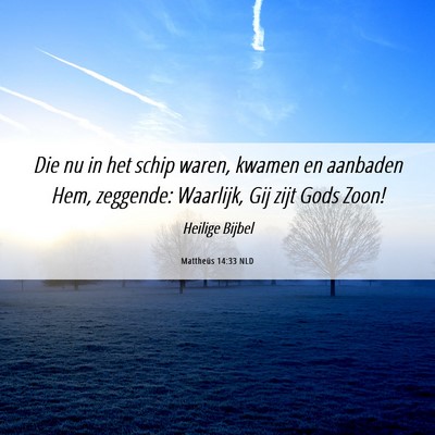 Picture 06 - Mattheüs 14:33 NLD - Die nu in het schip waren, kwamen en aanbaden - Bible Verse Picture