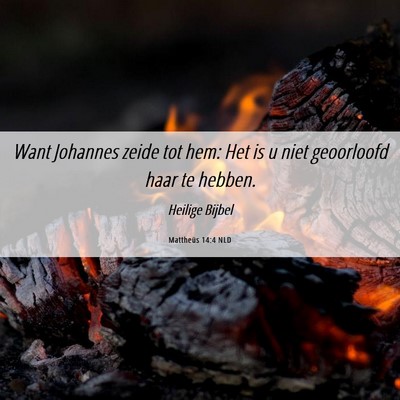 Picture 06 - Mattheüs 14:4 NLD - Want Johannes zeide tot hem: Het is u niet - Bible Verse Picture