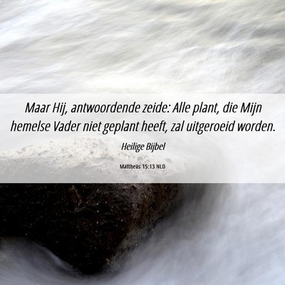 Picture 06 - Mattheüs 15:13 NLD - Maar Hij, antwoordende zeide: Alle plant, die - Bible Verse Picture