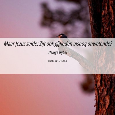 Picture 06 - Mattheüs 15:16 NLD - Maar Jezus zeide: Zijt ook gijlieden alsnog - Bible Verse Picture