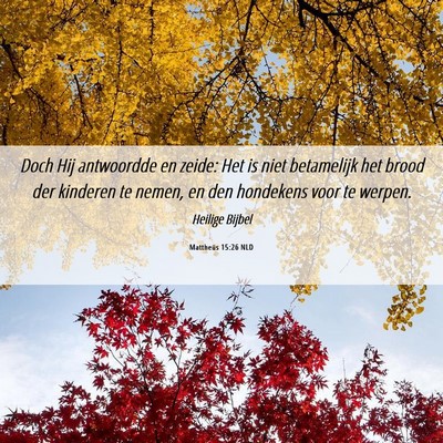 Picture 06 - Mattheüs 15:26 NLD - Doch Hij antwoordde en zeide: Het is niet - Bible Verse Picture
