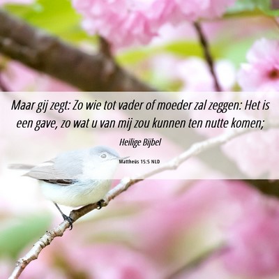 Picture 06 - Mattheüs 15:5 NLD - Maar gij zegt: Zo wie tot vader of moeder zal - Bible Verse Picture