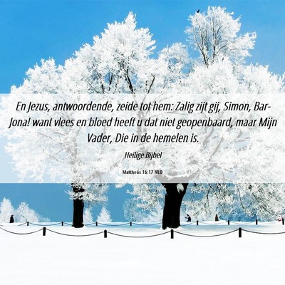 Picture 06 - Mattheüs 16:17 NLD - En Jezus, antwoordende, zeide tot hem: Zalig zijt - Bible Verse Picture