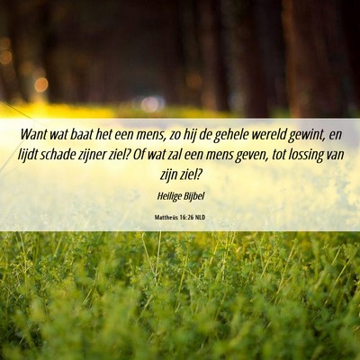Picture 06 - Mattheüs 16:26 NLD - Want wat baat het een mens, zo hij de gehele - Bible Verse Picture