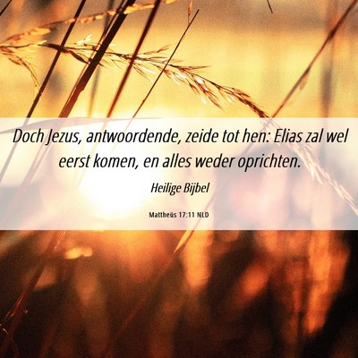 Picture 06 - Mattheüs 17:11 NLD - Doch Jezus, antwoordende, zeide tot hen: Elias - Bible Verse Picture