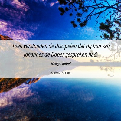 Picture 06 - Mattheüs 17:13 NLD - Toen verstonden de discipelen dat Hij hun van - Bible Verse Picture