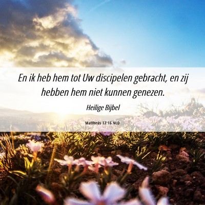 Picture 06 - Mattheüs 17:16 NLD - En ik heb hem tot Uw discipelen gebracht, en zij - Bible Verse Picture