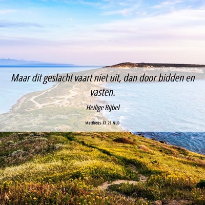 Picture 06 - Mattheüs 17:21 NLD - Maar dit geslacht vaart niet uit, dan door bidden - Bible Verse Picture