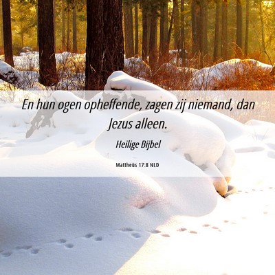 Picture 06 - Mattheüs 17:8 NLD - En hun ogen opheffende, zagen zij niemand, dan - Bible Verse Picture