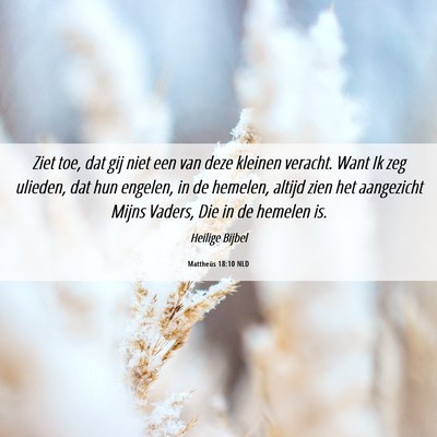 Picture 06 - Mattheüs 18:10 NLD - Ziet toe, dat gij niet een van deze kleinen - Bible Verse Picture