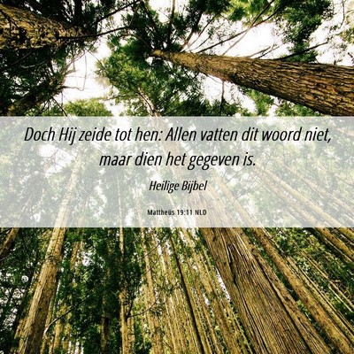 Picture 06 - Mattheüs 19:11 NLD - Doch Hij zeide tot hen: Allen vatten dit woord - Bible Verse Picture