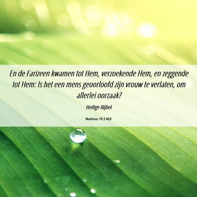 Picture 06 - Mattheüs 19:3 NLD - En de Farizeen kwamen tot Hem, verzoekende Hem, - Bible Verse Picture