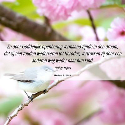 Picture 06 - Mattheüs 2:12 NLD - En door Goddelijke openbaring vermaand zijnde in - Bible Verse Picture
