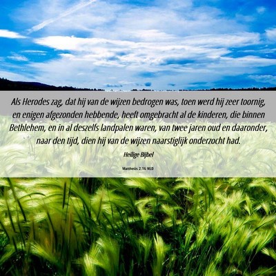 Picture 06 - Mattheüs 2:16 NLD - Als Herodes zag, dat hij van de wijzen bedrogen - Bible Verse Picture