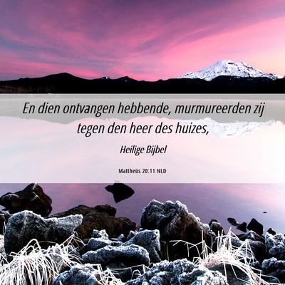 Picture 06 - Mattheüs 20:11 NLD - En dien ontvangen hebbende, murmureerden zij - Bible Verse Picture