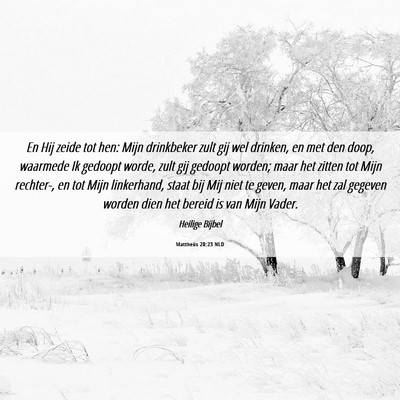 Picture 06 - Mattheüs 20:23 NLD - En Hij zeide tot hen: Mijn drinkbeker zult gij - Bible Verse Picture