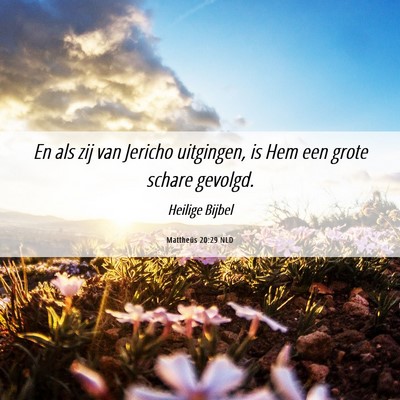 Picture 06 - Mattheüs 20:29 NLD - En als zij van Jericho uitgingen, is Hem een - Bible Verse Picture
