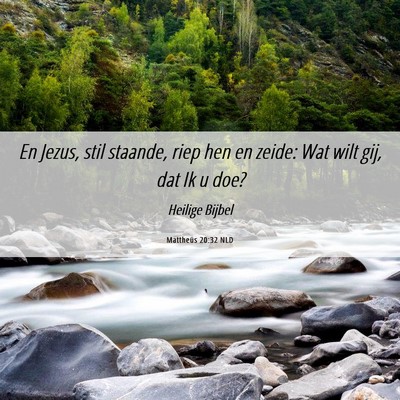 Picture 06 - Mattheüs 20:32 NLD - En Jezus, stil staande, riep hen en zeide: Wat - Bible Verse Picture