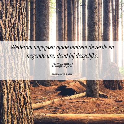 Picture 06 - Mattheüs 20:5 NLD - Wederom uitgegaan zijnde omtrent de zesde en - Bible Verse Picture