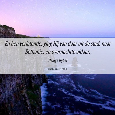 Picture 06 - Mattheüs 21:17 NLD - En hen verlatende, ging Hij van daar uit de stad, - Bible Verse Picture