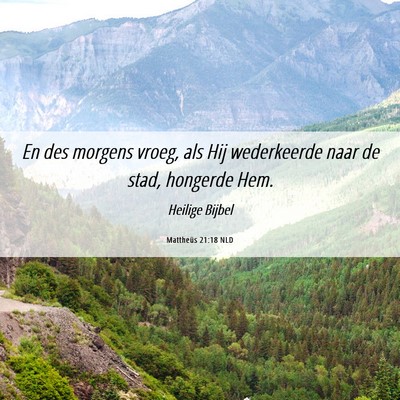Picture 06 - Mattheüs 21:18 NLD - En des morgens vroeg, als Hij wederkeerde naar de - Bible Verse Picture