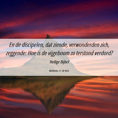 Picture 06 - Mattheüs 21:20 NLD - En de discipelen, dat ziende, verwonderden zich, - Bible Verse Picture