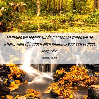 Picture 06 - Mattheüs 21:26 NLD - En indien wij zeggen: Uit de mensen: zo vrezen - Bible Verse Picture