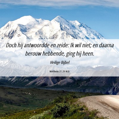 Picture 06 - Mattheüs 21:29 NLD - Doch hij antwoordde en zeide: Ik wil niet; en - Bible Verse Picture