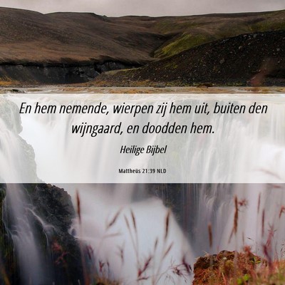 Picture 06 - Mattheüs 21:39 NLD - En hem nemende, wierpen zij hem uit, buiten den - Bible Verse Picture