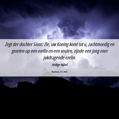 Picture 06 - Mattheüs 21:5 NLD - Zegt der dochter Sions: Zie, uw Koning komt tot - Bible Verse Picture