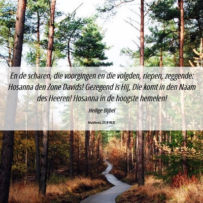 Picture 06 - Mattheüs 21:9 NLD - En de scharen, die voorgingen en die volgden, - Bible Verse Picture