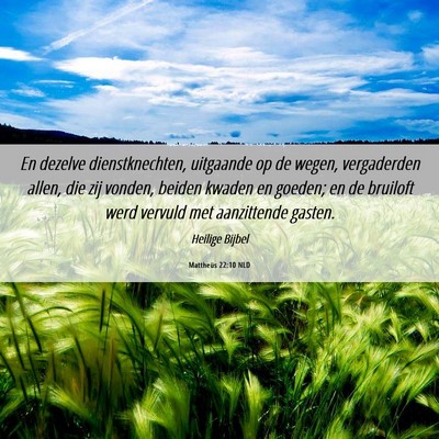 Picture 06 - Mattheüs 22:10 NLD - En dezelve dienstknechten, uitgaande op de wegen, - Bible Verse Picture