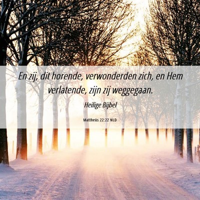 Picture 06 - Mattheüs 22:22 NLD - En zij, dit horende, verwonderden zich, en Hem - Bible Verse Picture