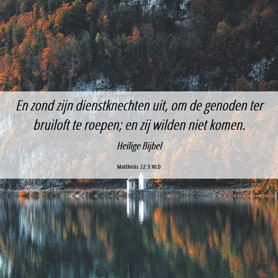 Picture 06 - Mattheüs 22:3 NLD - En zond zijn dienstknechten uit, om de genoden - Bible Verse Picture