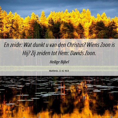 Picture 06 - Mattheüs 22:42 NLD - En zeide: Wat dunkt u van den Christus? Wiens - Bible Verse Picture
