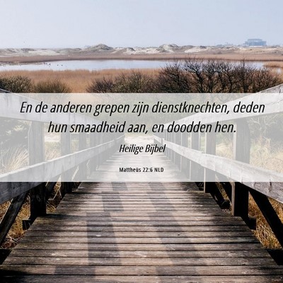Picture 06 - Mattheüs 22:6 NLD - En de anderen grepen zijn dienstknechten, deden - Bible Verse Picture