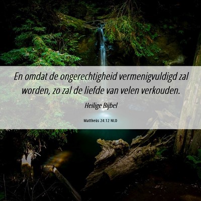 Picture 06 - Mattheüs 24:12 NLD - En omdat de ongerechtigheid vermenigvuldigd zal - Bible Verse Picture