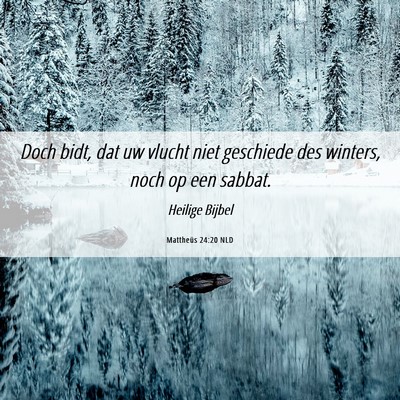 Picture 06 - Mattheüs 24:20 NLD - Doch bidt, dat uw vlucht niet geschiede des - Bible Verse Picture