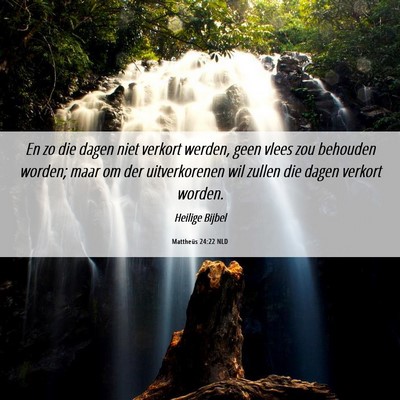 Picture 06 - Mattheüs 24:22 NLD - En zo die dagen niet verkort werden, geen vlees - Bible Verse Picture