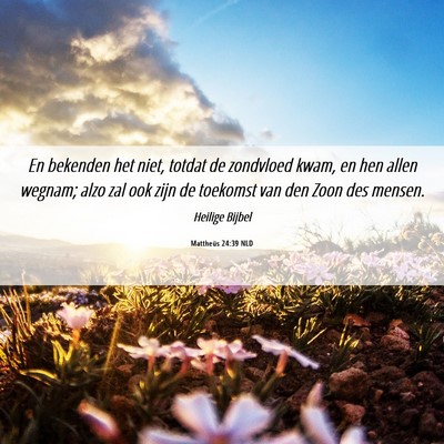 Picture 06 - Mattheüs 24:39 NLD - En bekenden het niet, totdat de zondvloed kwam, - Bible Verse Picture