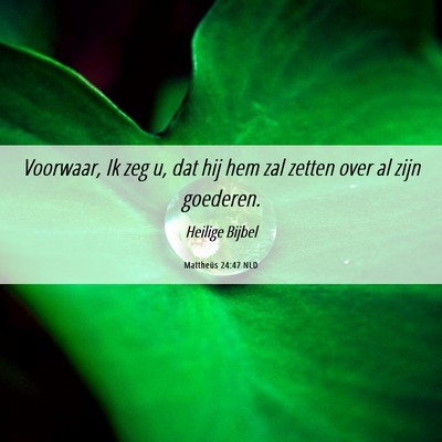 Picture 06 - Mattheüs 24:47 NLD - Voorwaar, Ik zeg u, dat hij hem zal zetten over - Bible Verse Picture