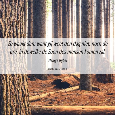 Picture 06 - Mattheüs 25:13 NLD - Zo waakt dan; want gij weet den dag niet, noch de - Bible Verse Picture