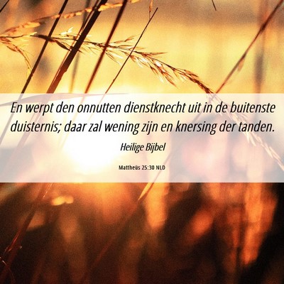 Picture 06 - Mattheüs 25:30 NLD - En werpt den onnutten dienstknecht uit in de - Bible Verse Picture